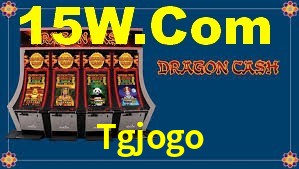VIP Casino Tgjogo